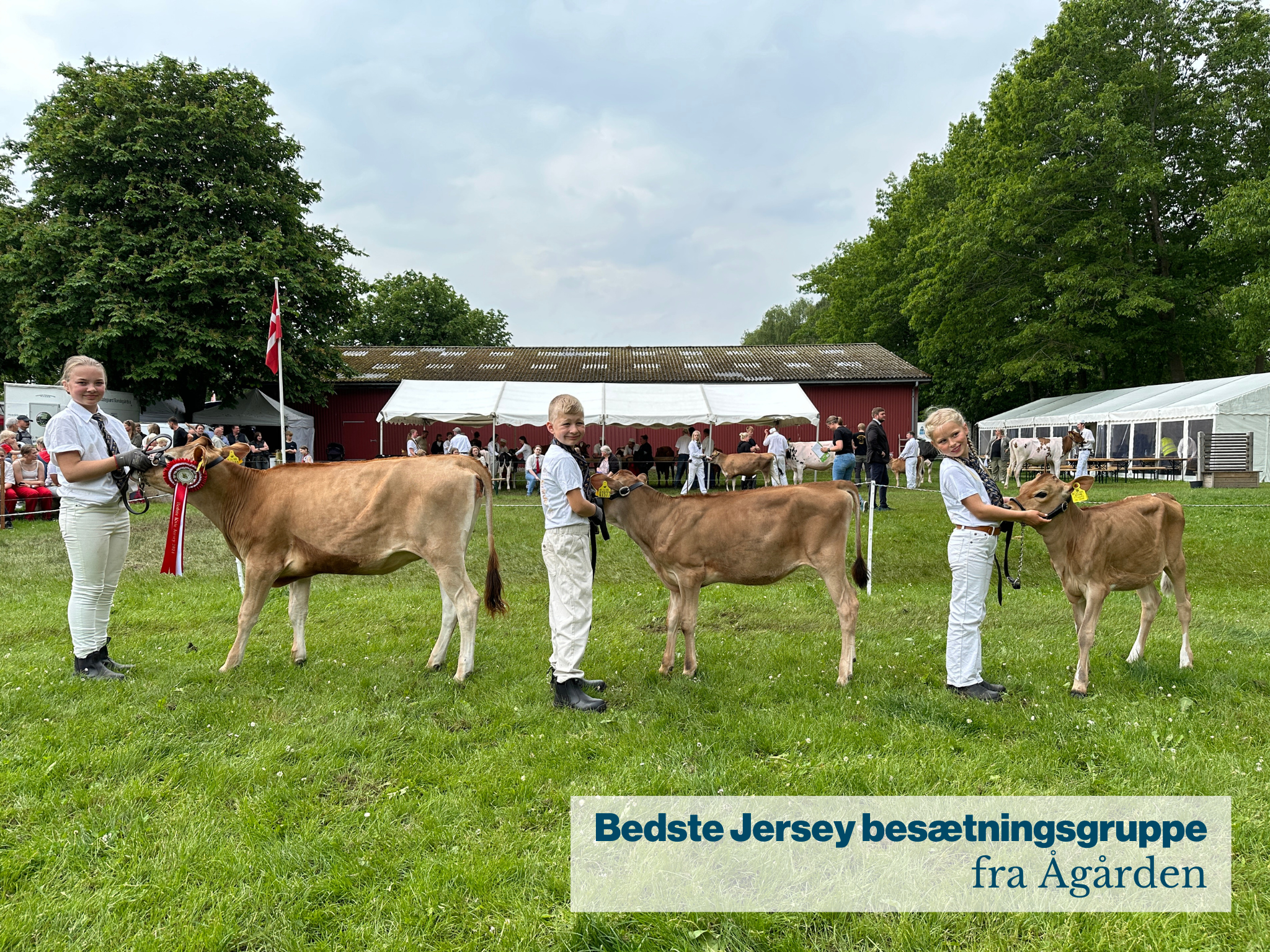 Bedste Jersey Besætningsgruppe Fra Ågården .JPG