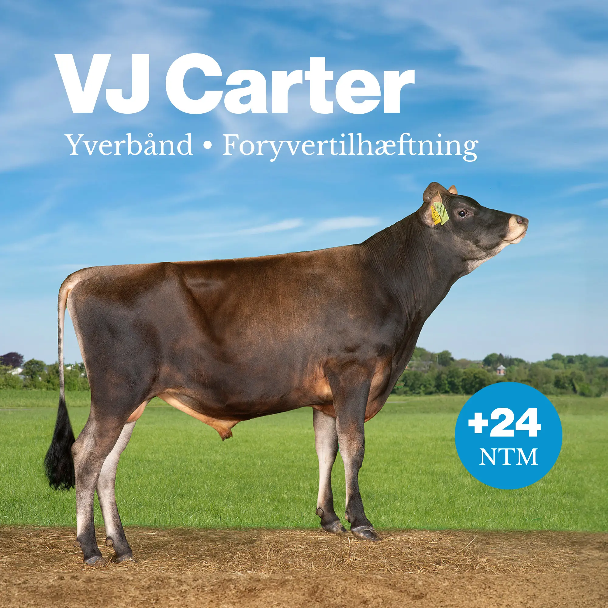 VJ Carter