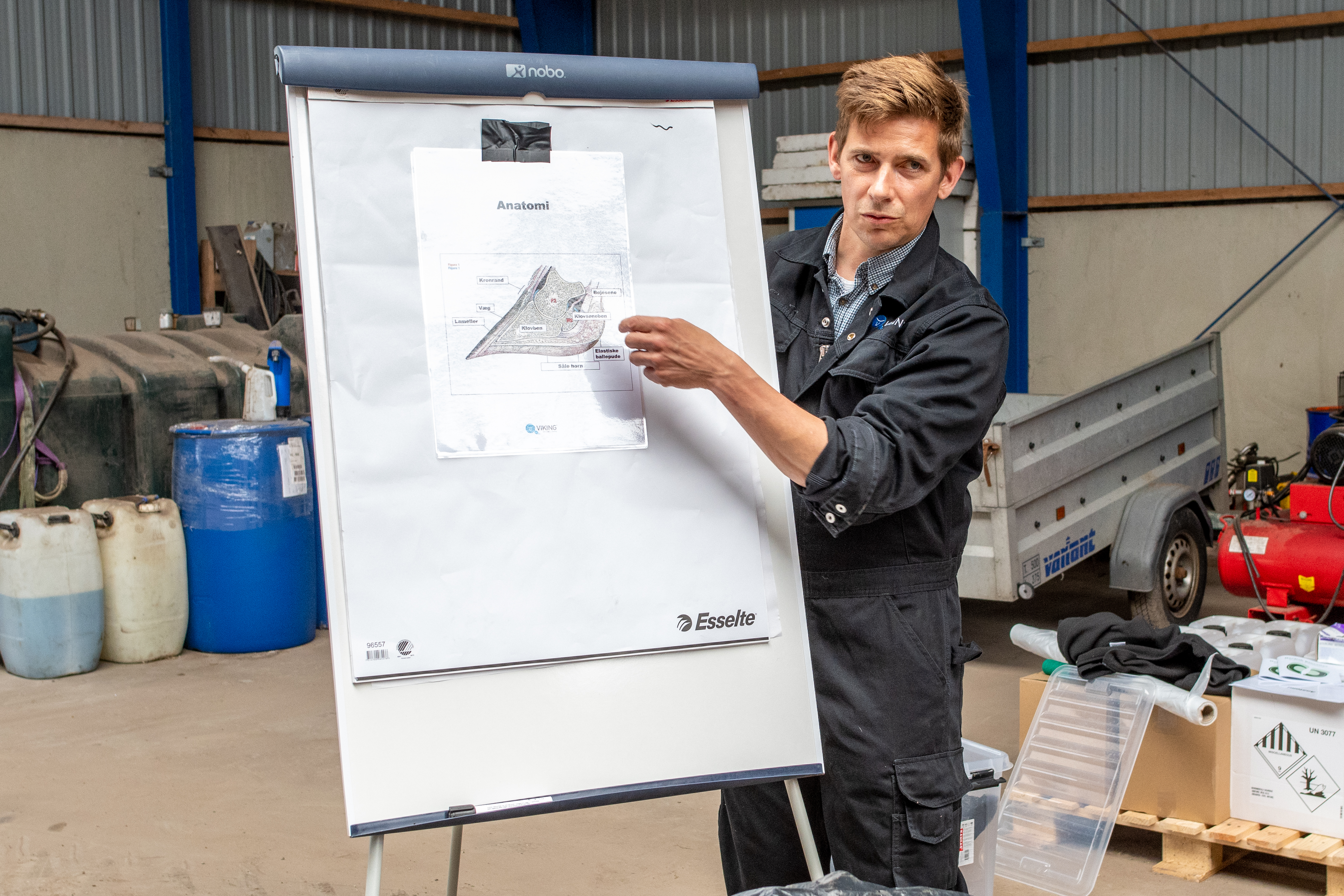 Evt Billede Nr 2 Til Længere