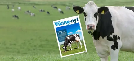 Vikungnyt August 2021