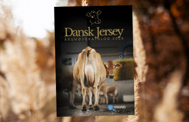 Design Uden Navn (1)