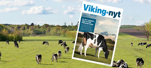 Vikingnyt November 2020