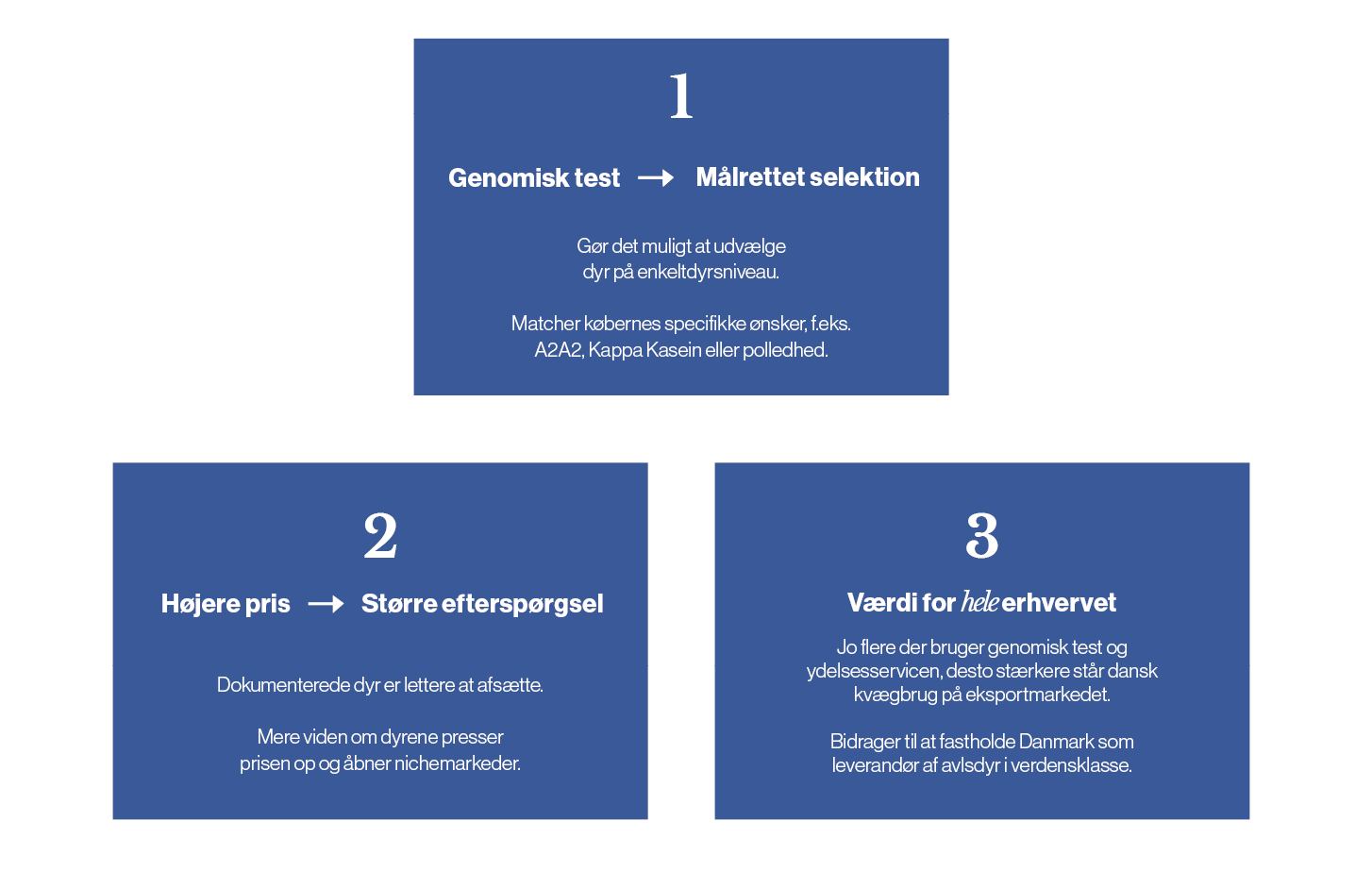 Med genomisk test kan man matche køberens specifikke ønsker, f.eks. til A2A2.