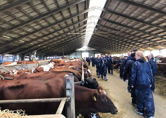 Billede Til Nyhed 700X500 (1)