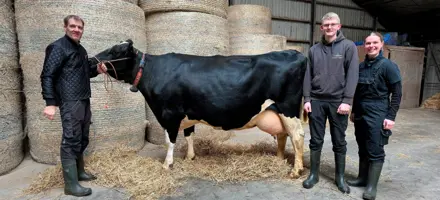 Esper Agger, VH Rakeem Datter, Medhjælpere Niels Og Mette