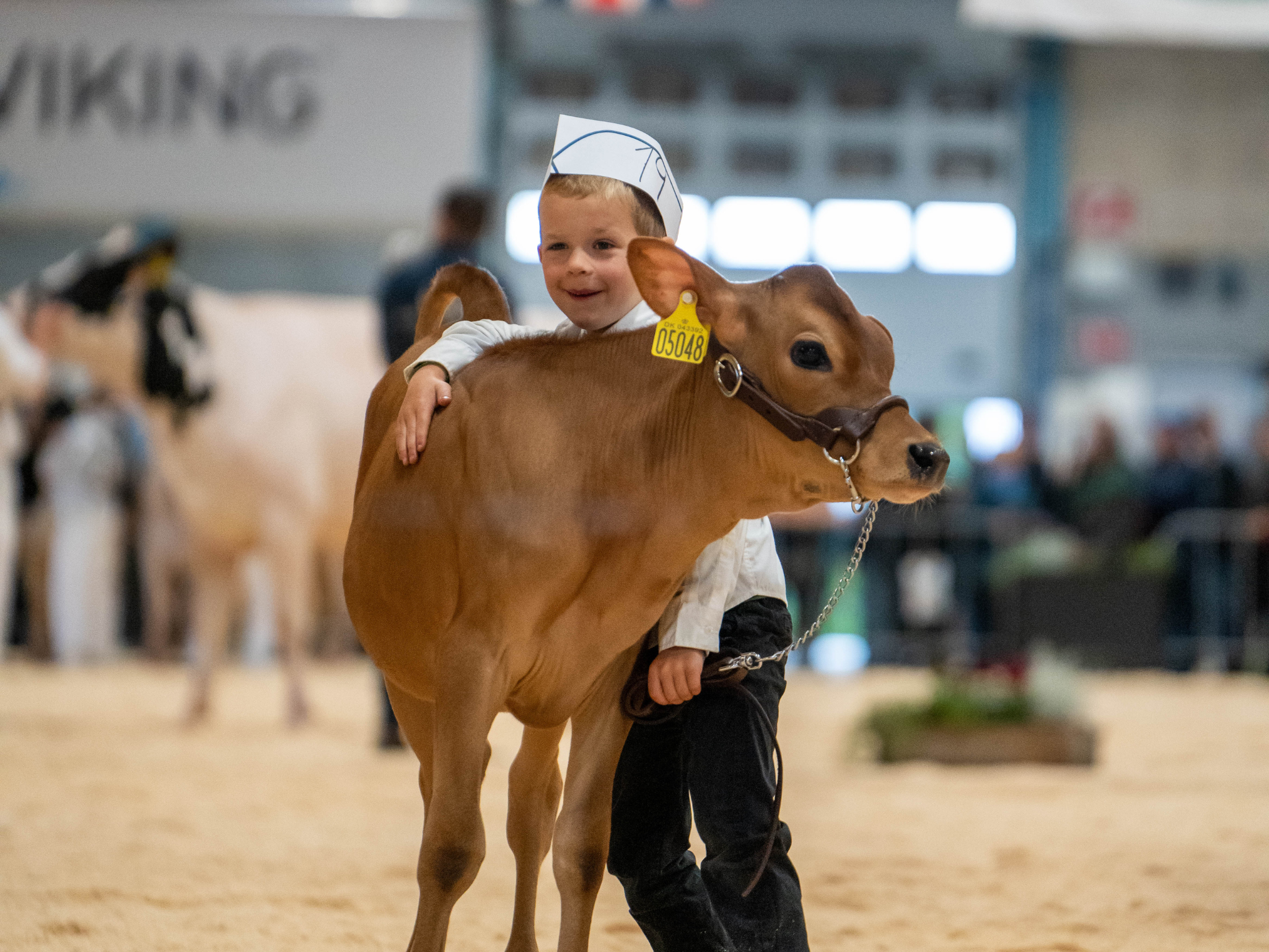 Glad Vinder Og Kalv Ved Landsskuet 2024