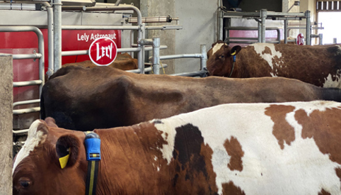 Gert 1 Skal Meget Gerne Med Tilrettet (3)