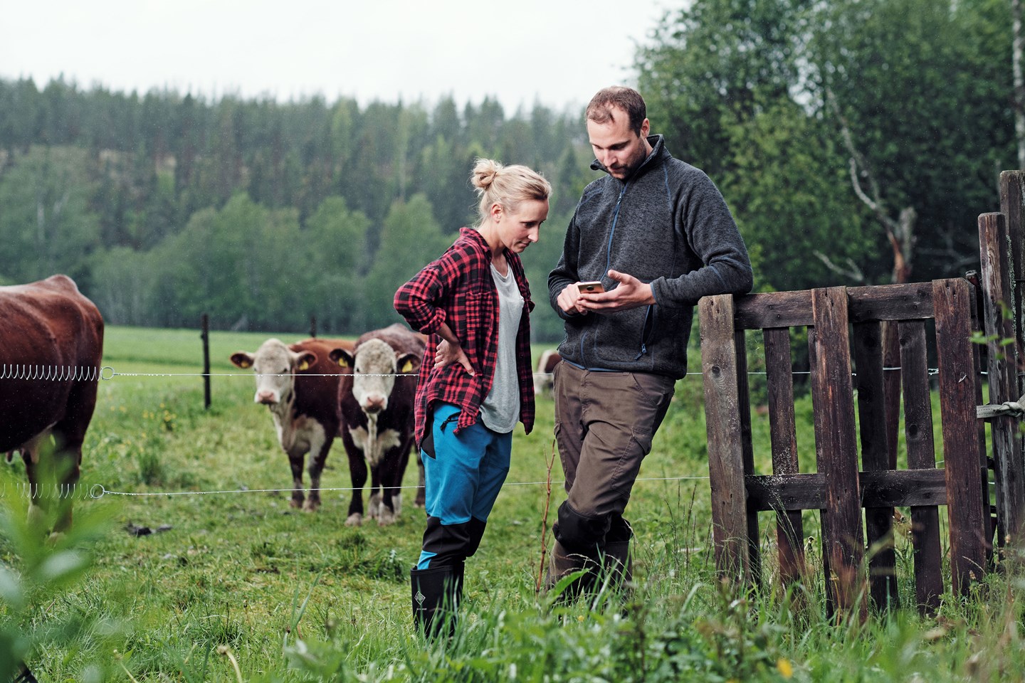 Ferdig Dsf6724 High Srgb Web (1)