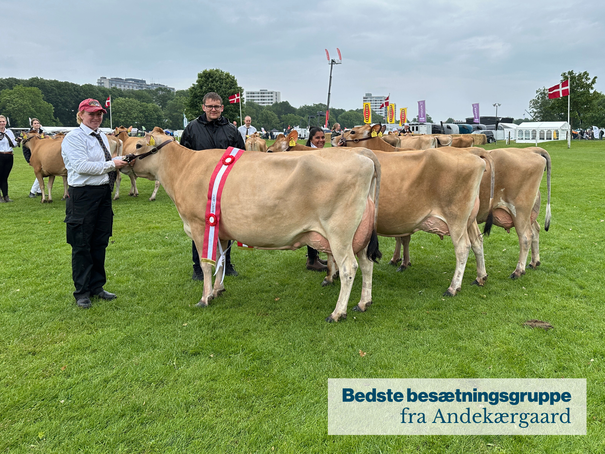 Bedste Besætningsgruppe Fra Andekærgaard .JPG