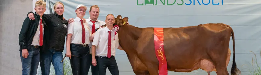 NIA4238 Landsskue 2025 Landsskue 2025 Dag 1 Web