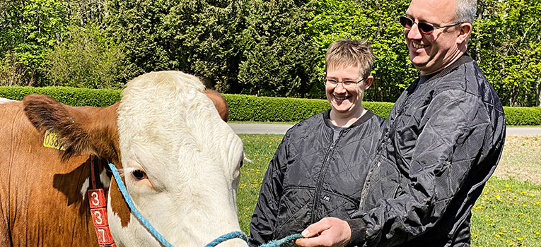 IMG 4432 Web Oversigt