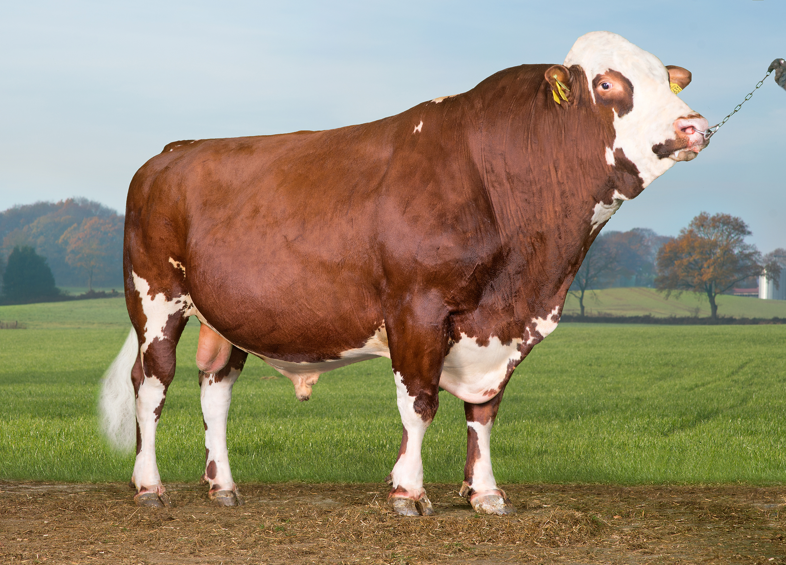 VR Froerup (VR Faber) Front No Signature