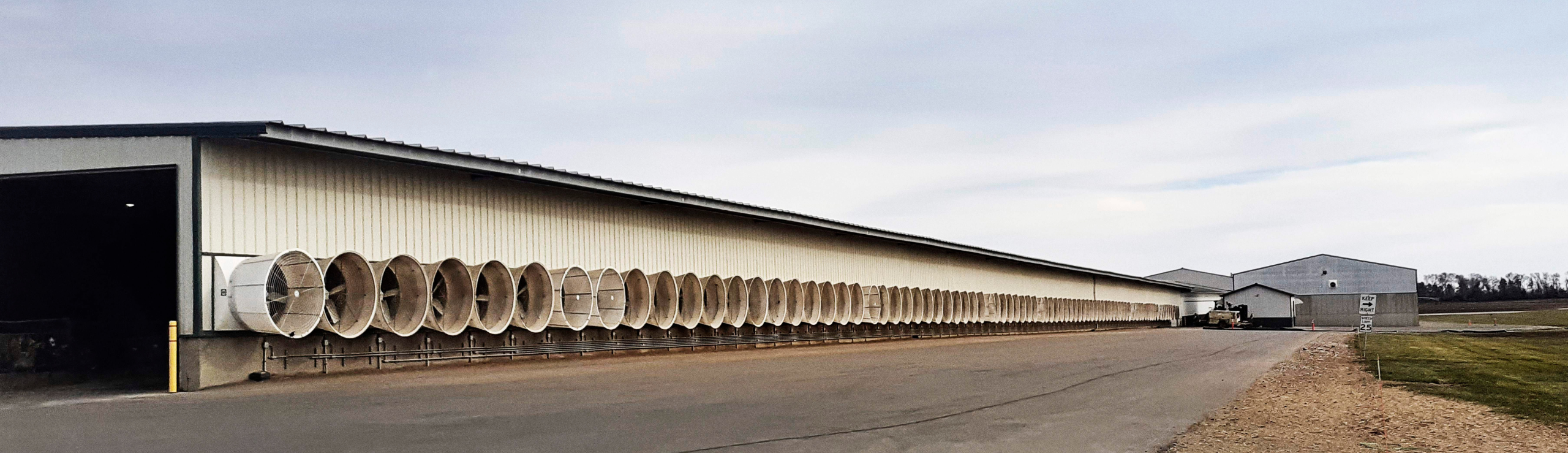 Ventilatorer Der Trækker Luft Til Staldsystemet