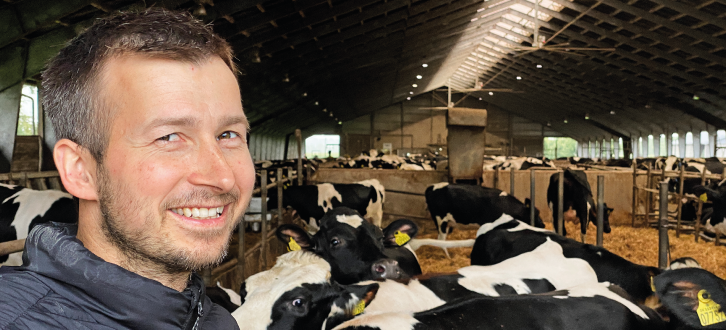 Article Entry Mortensallingbojsen