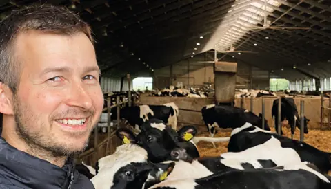 Article Entry Mortensallingbojsen