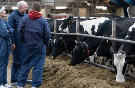 Stemningsbillede Fra Avlsdag