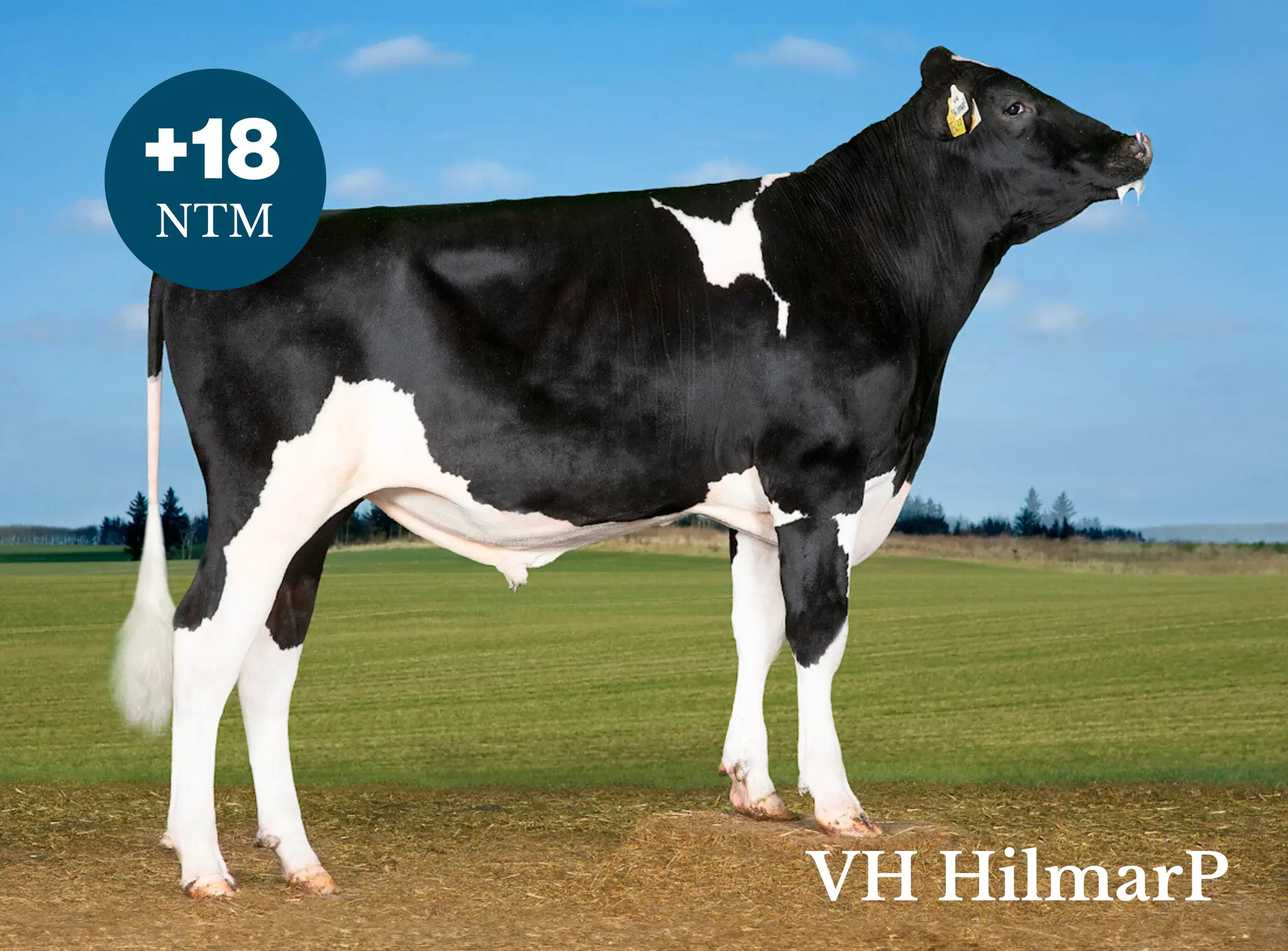 VH Hilmarp