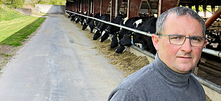 IMG 3739 Web Oversigt