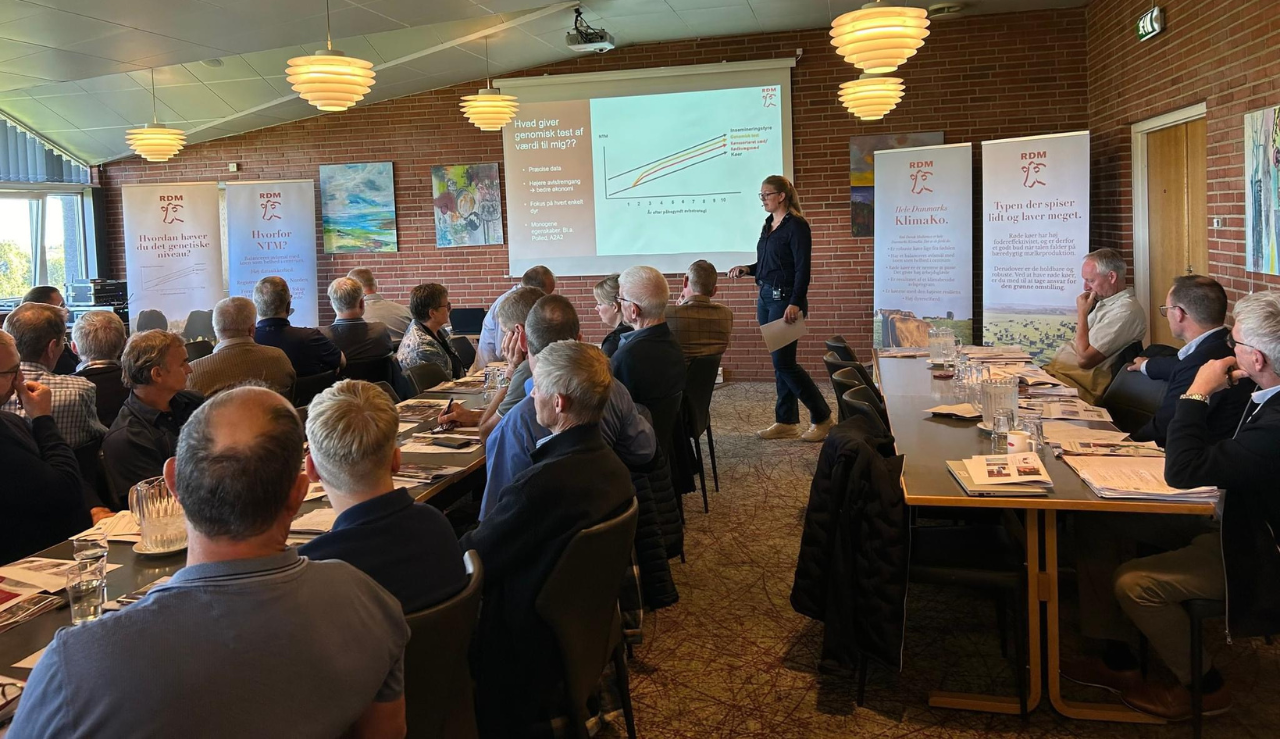 Stemning Fra Årsmødet På Vissenbjerg Storkro, Fyn