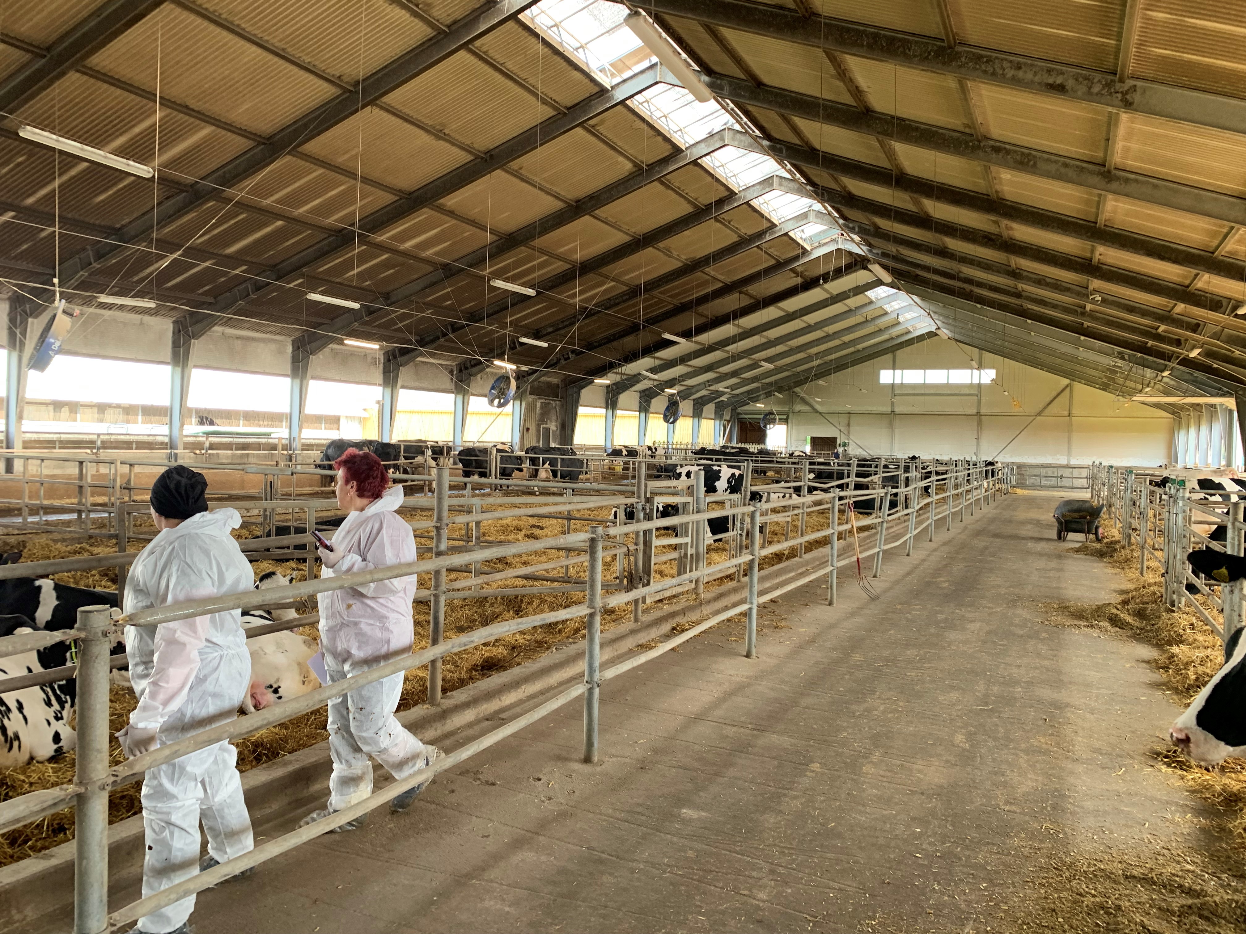 20220617 063020629 Ios