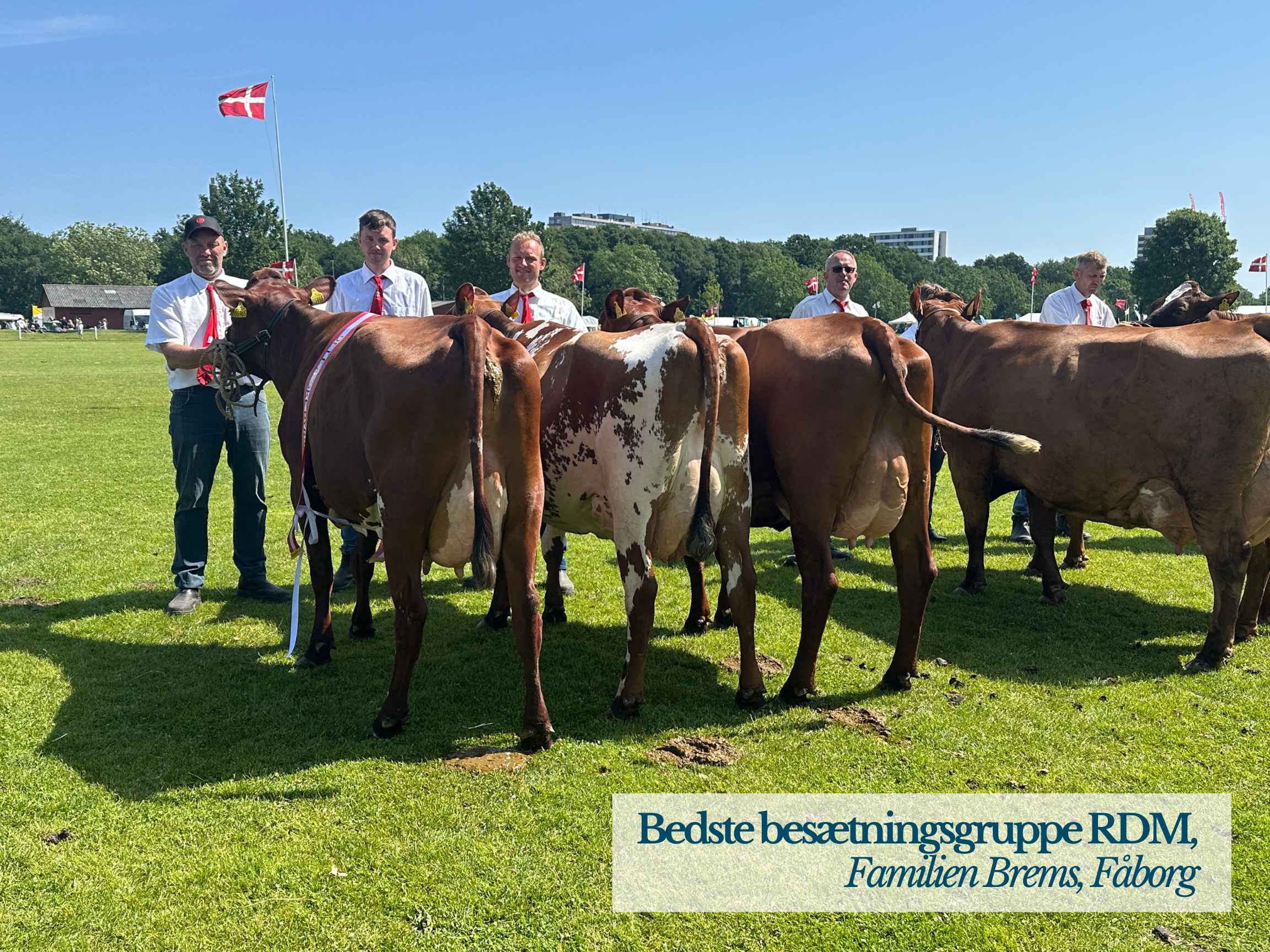 Bedste Besætningsgruppe RDM, Familien Brems, Fåborg