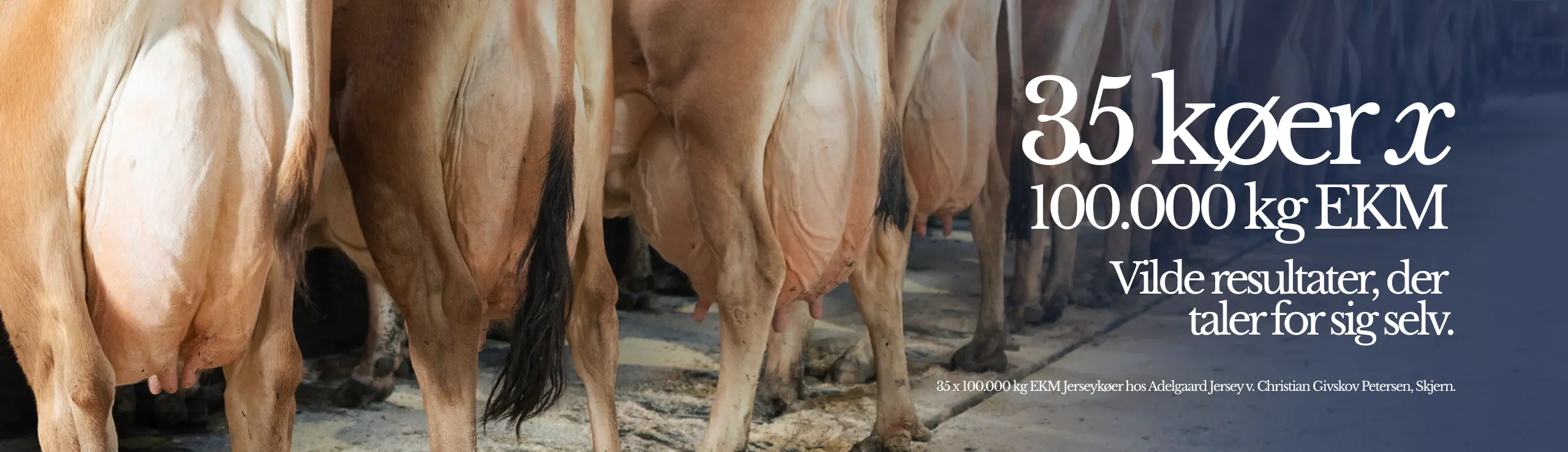 35X100.000 Kg EKM Vilde Resultater, Der Taler For Sig Selv