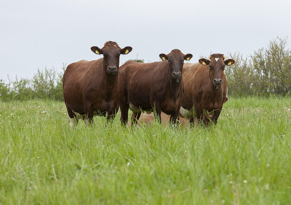 Jacob Serup Pedersen1 May2023 Ellygeverink (7)