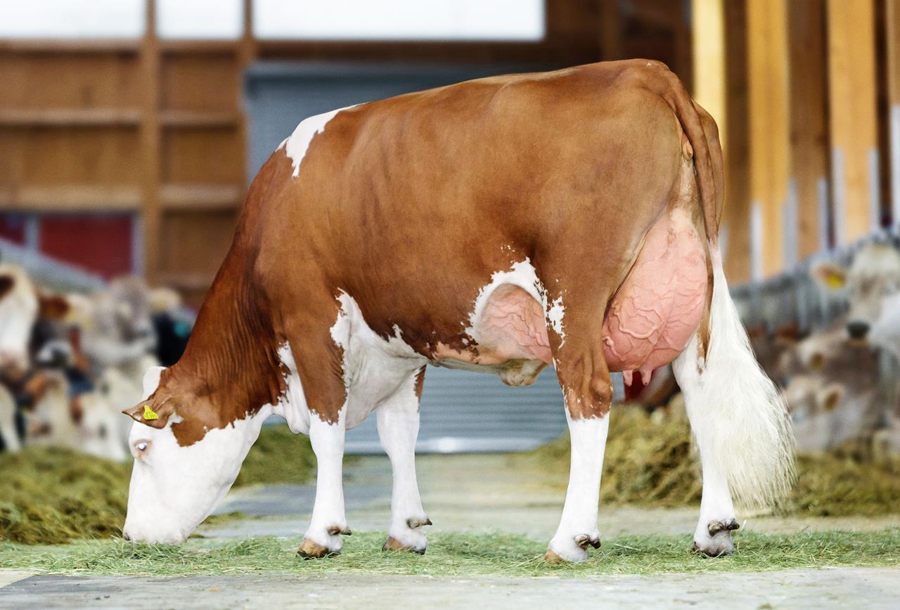 26 07 2016 Panorama Lindner Ecuador Wenke Horizontal Srgb Web