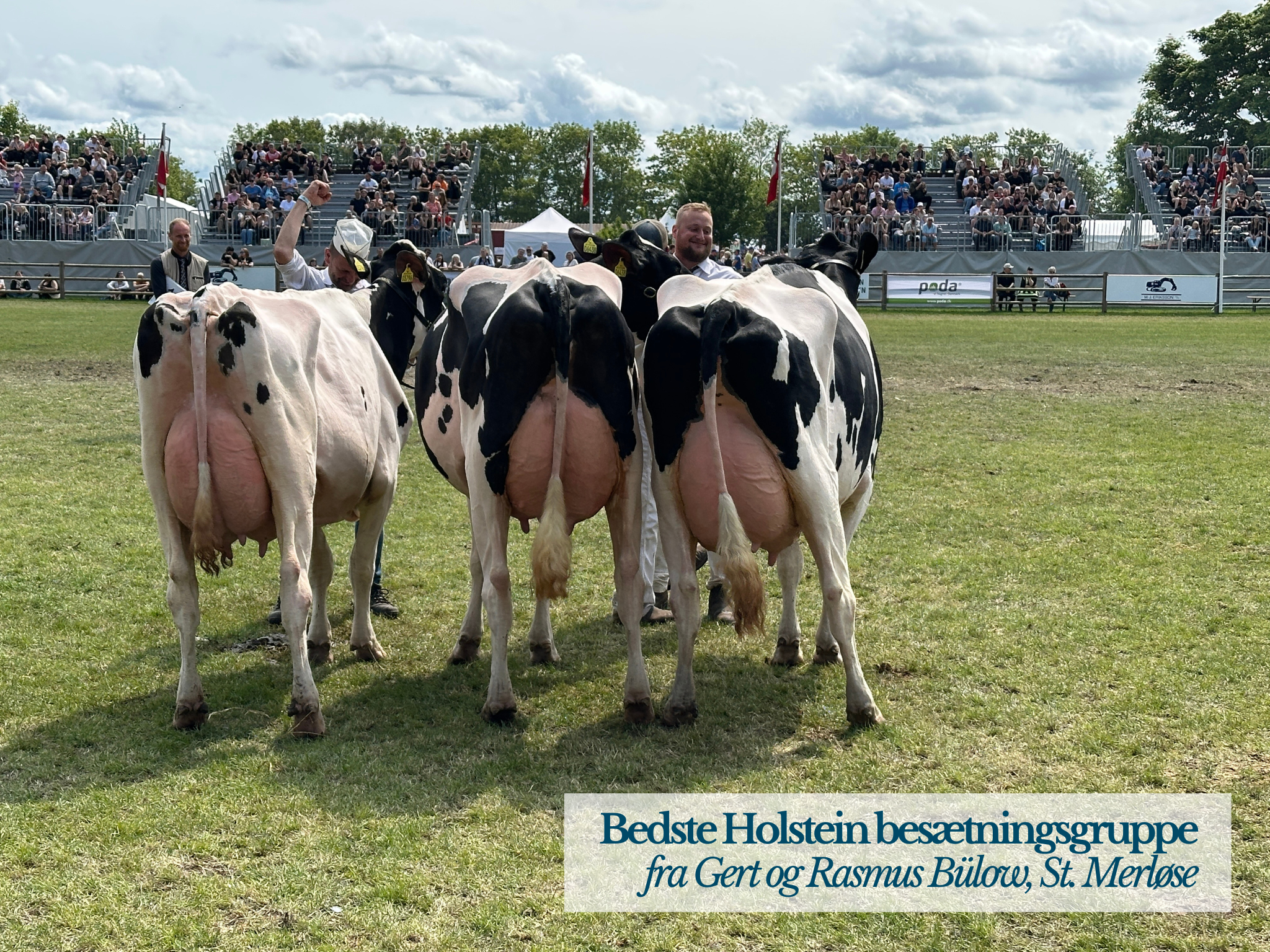 Bedste Holstein Besætningsgruppe