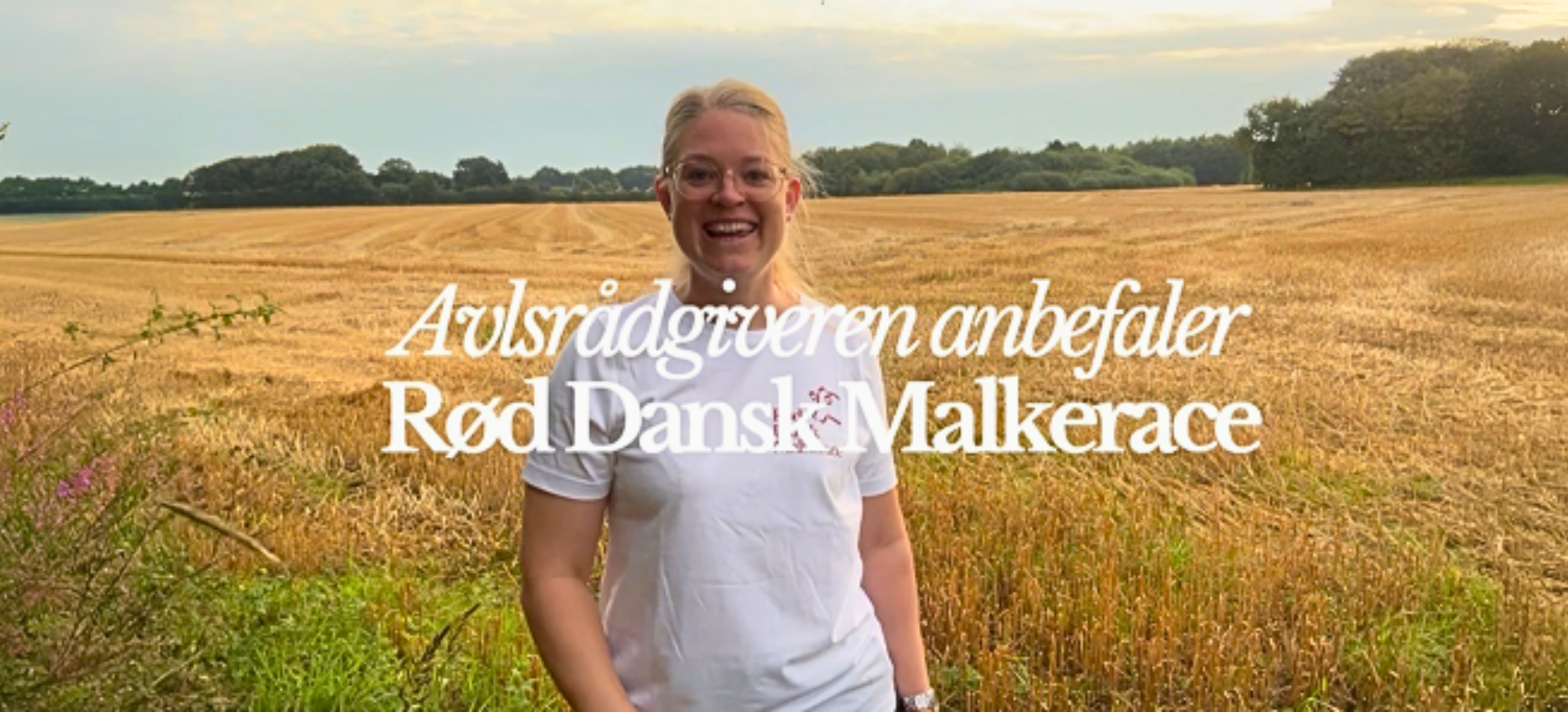 RDM Avlsværdital August 2025