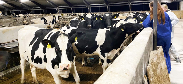 IMG 5187 Tilrettet Til Forside