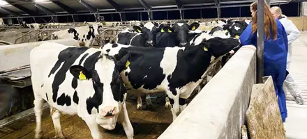 IMG 5187 Tilrettet Til Forside