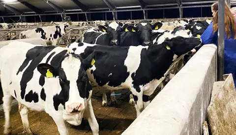 IMG 5187 Tilrettet Til Forside