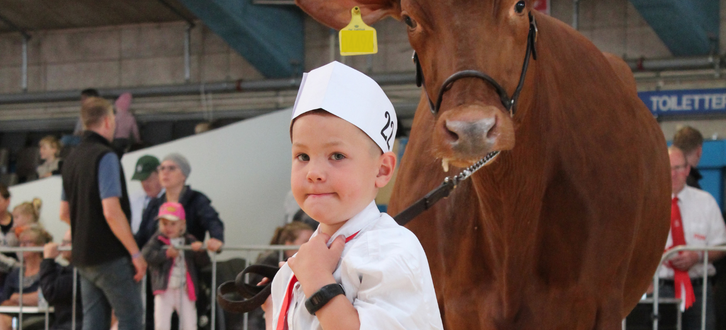 Design Uden Navn(10)