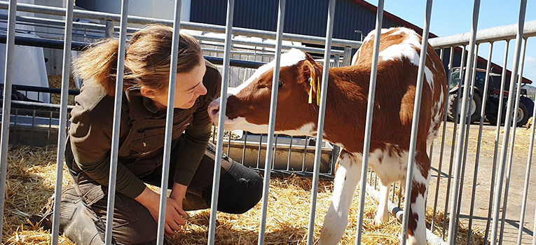 VH Don Red Kvie Srgb Web Oversigt