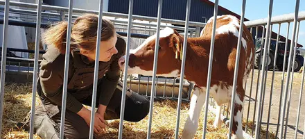 VH Don Red Kvie Srgb Web Oversigt