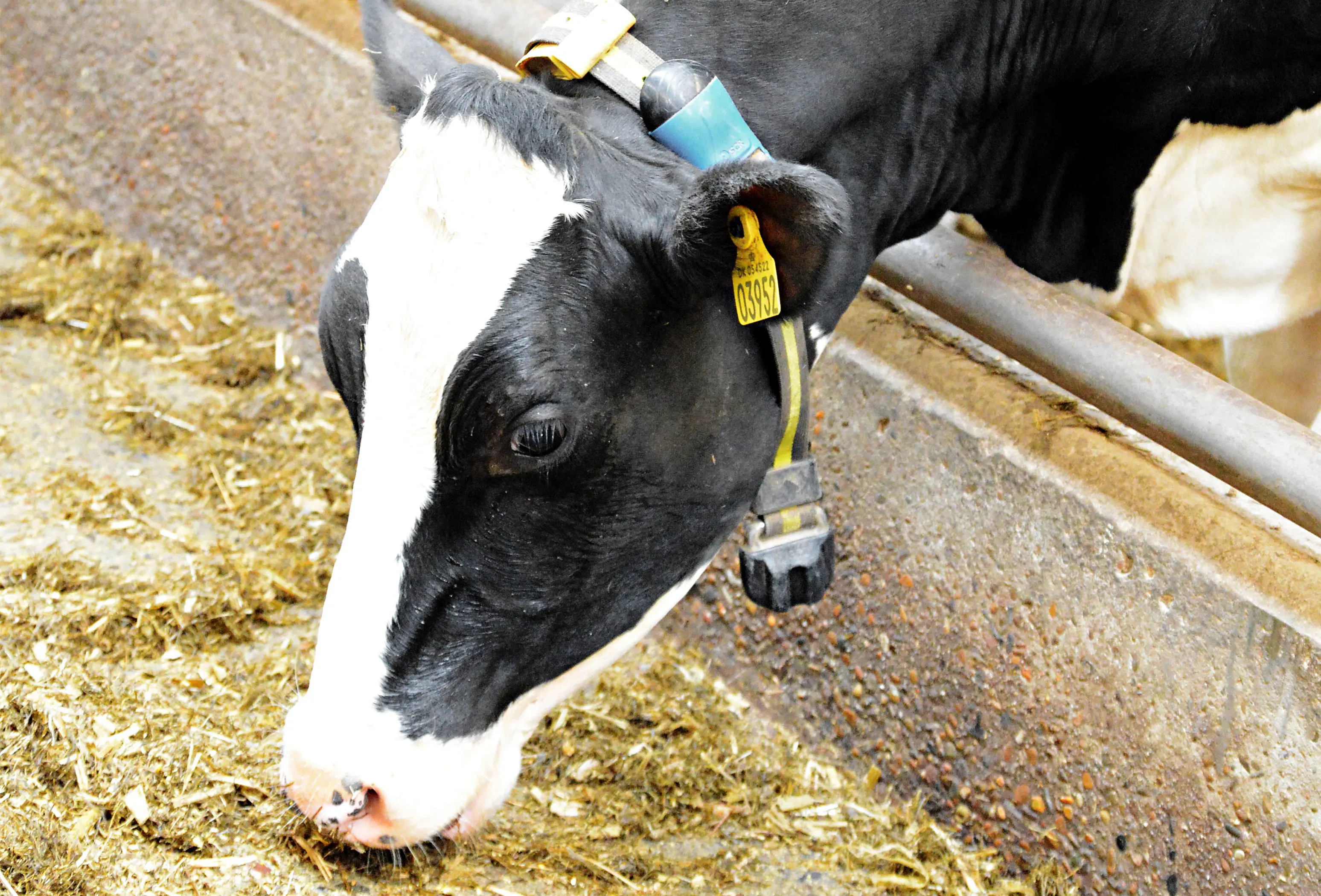 08Kvacsosense3 Srgb Web