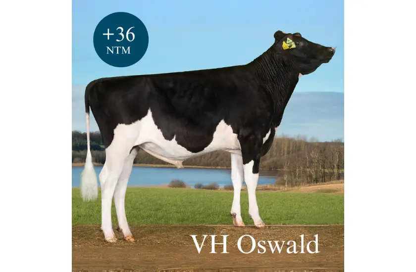 VH Oswald