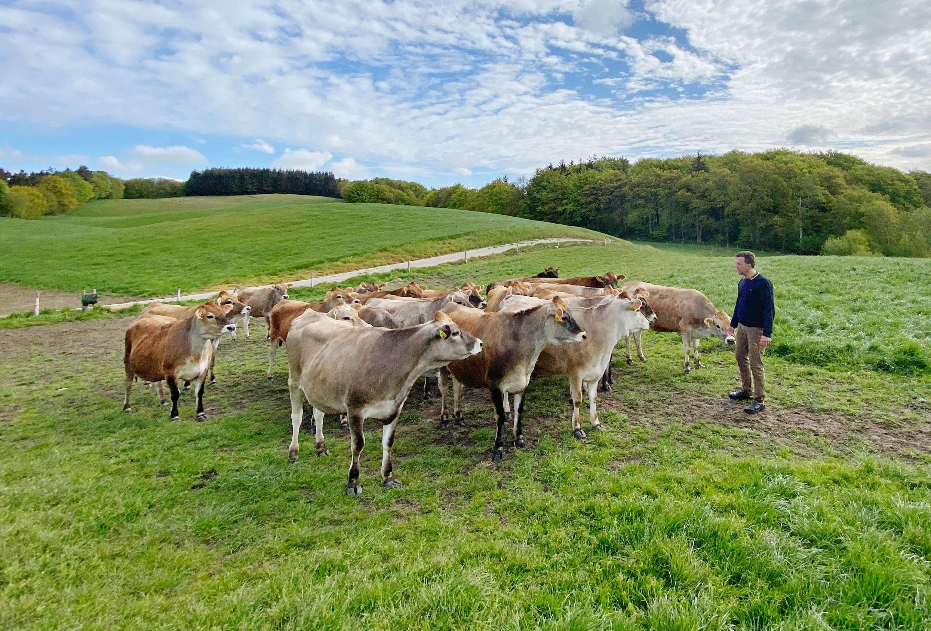 IMG 4234 Lysnet Klaus Web