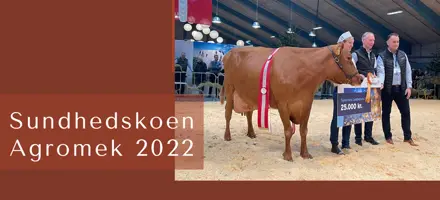 ARTICLE ENTRY TYR (19)