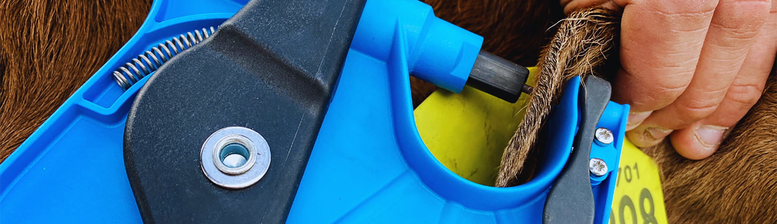 Banner Dine Registreringer