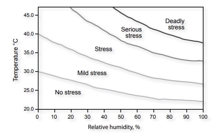 Figur 1 Forskellige Kombinationer