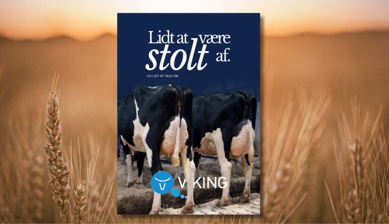 På 40 År Har En Holstein Koen Næsten Fordoblet Sine Værdistoffer