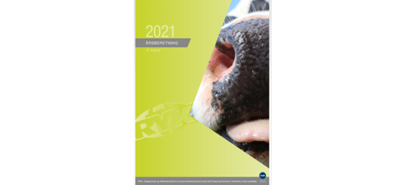 Article Entry Spot Reference Image 726 X 330 5