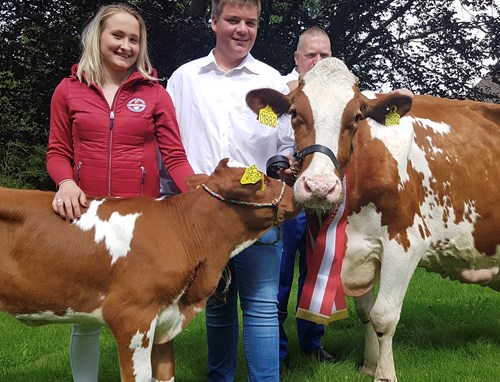 DRH Taro 20200709 111637