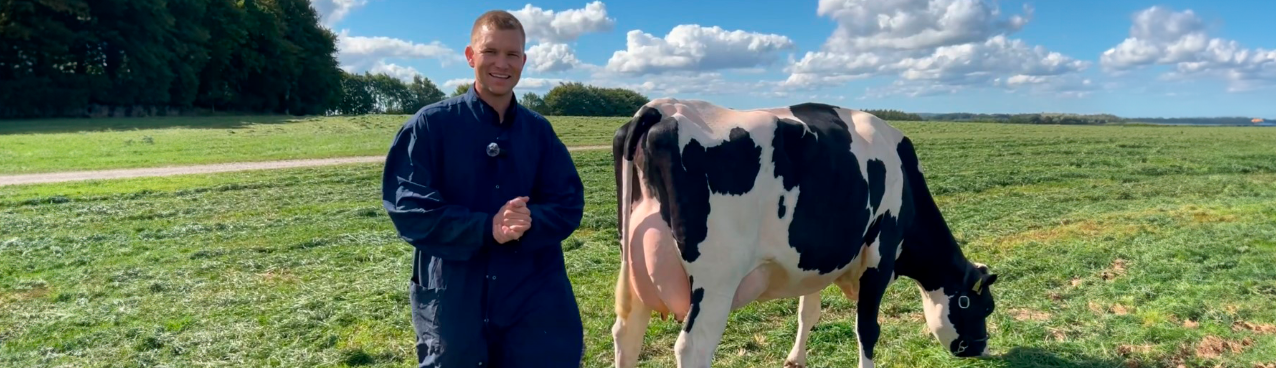 Malthe Med Tyremor, VH Brooklyn Datter Samt Helsøster Til VH Coltrc