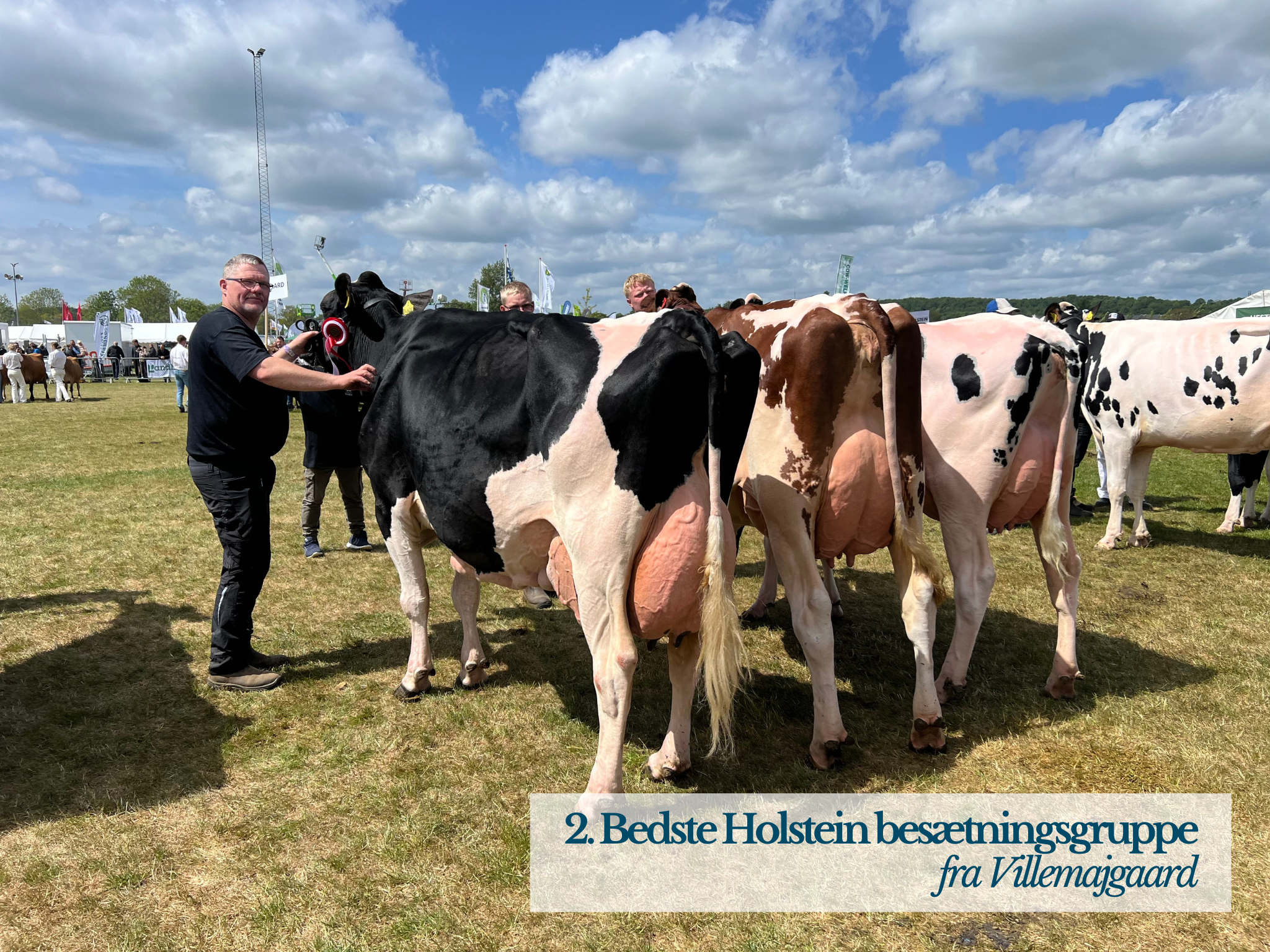 2. Bedste Holstein Besætningsgruppe