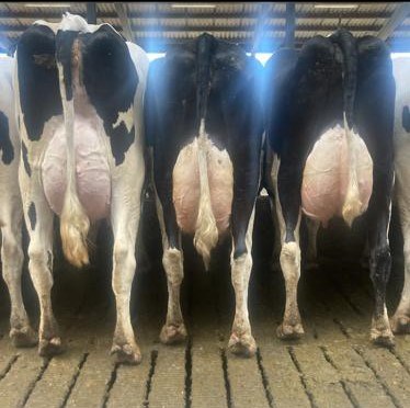 Whatsapp Image 2022 09 12 At 13 00 37Hth Tre Generationer