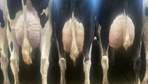 Whatsapp Image 2022 09 12 At 13 00 37Hth Tre Generationer