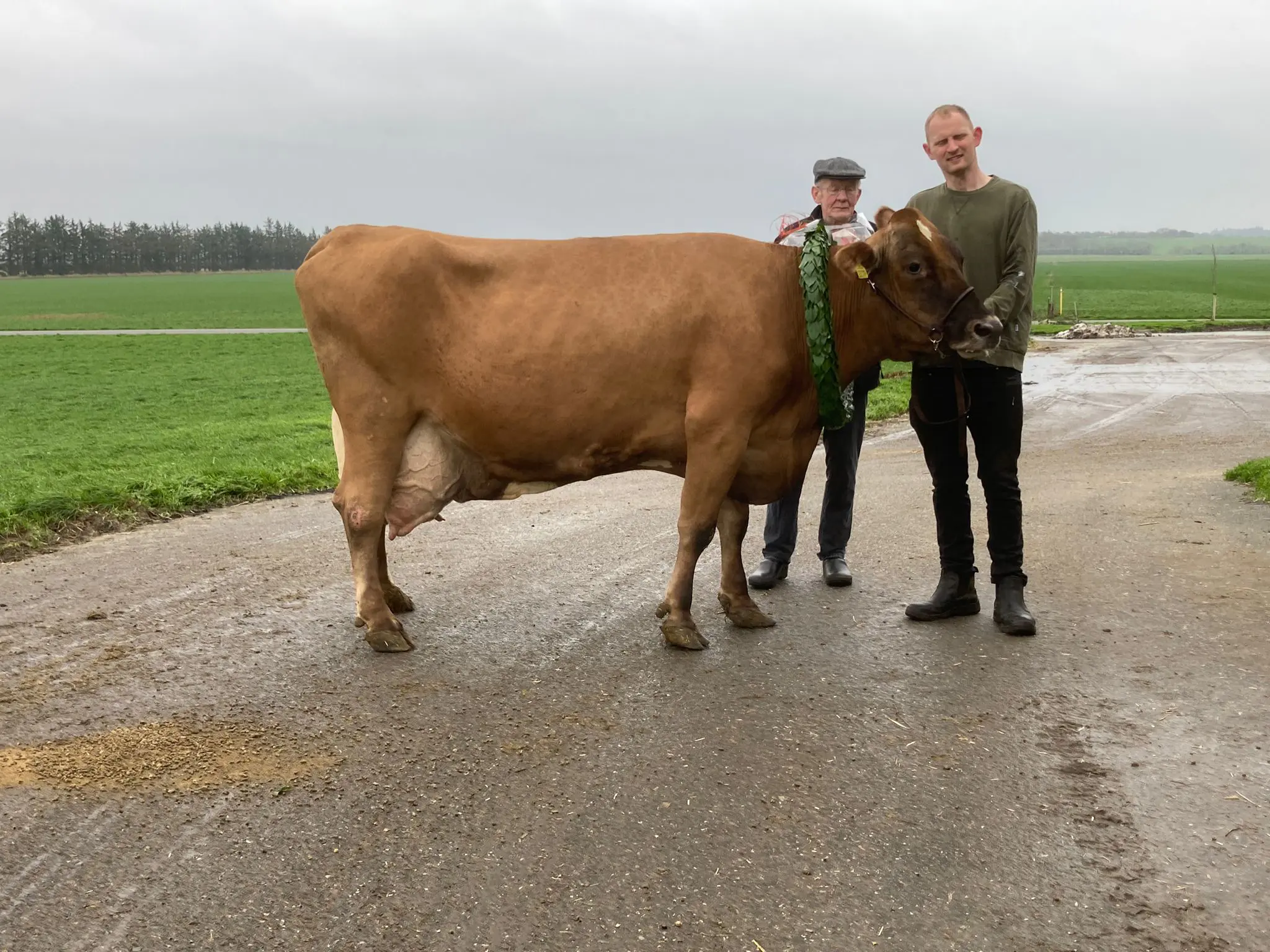 910Dbf87 6Da2 43Af 80Ad 52D33fc85195